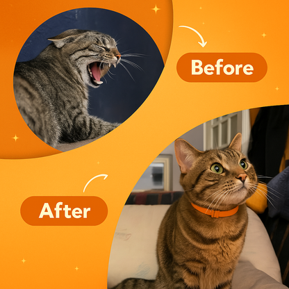 Anti-Stress Cat Collar