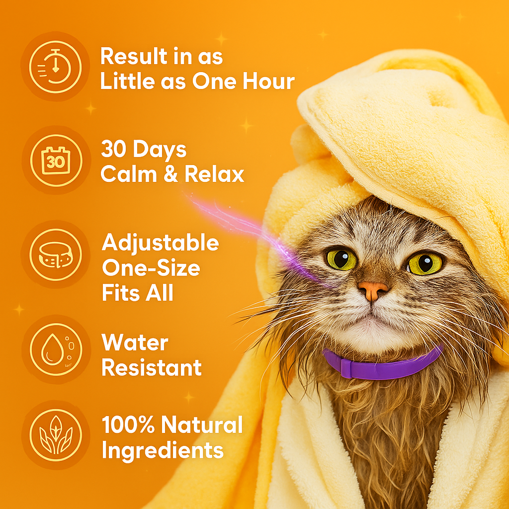 Anti-Stress Cat Collar