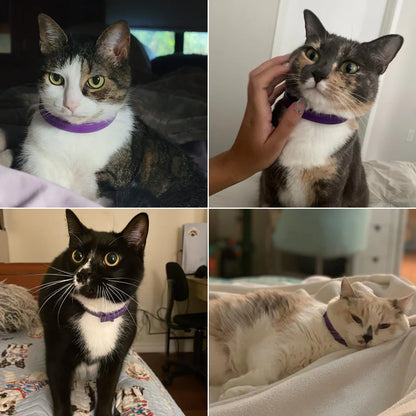 Anti-Stress Cat Collar